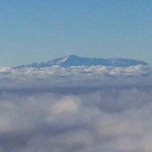 Meet your Posher, Howard